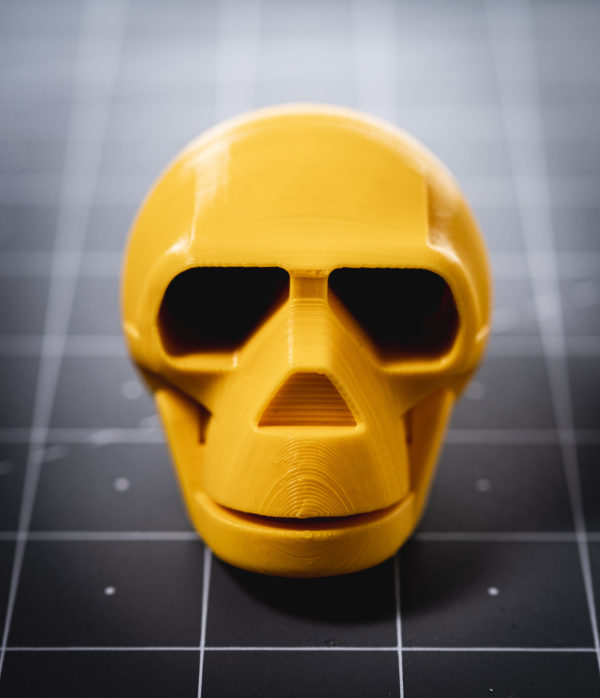 3d printing printed skull